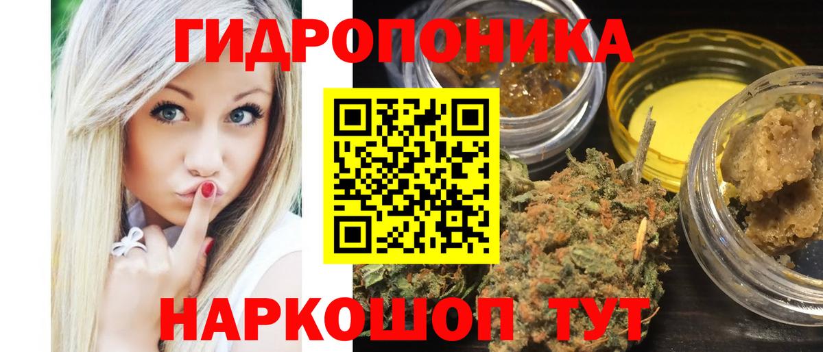 Шишки марихуана сатива Анжеро-Судженск